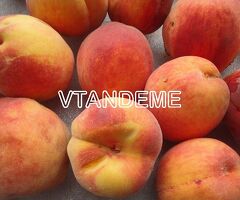Персики продам